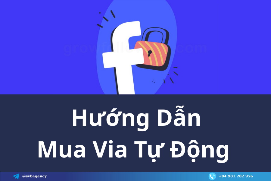 blog-widget